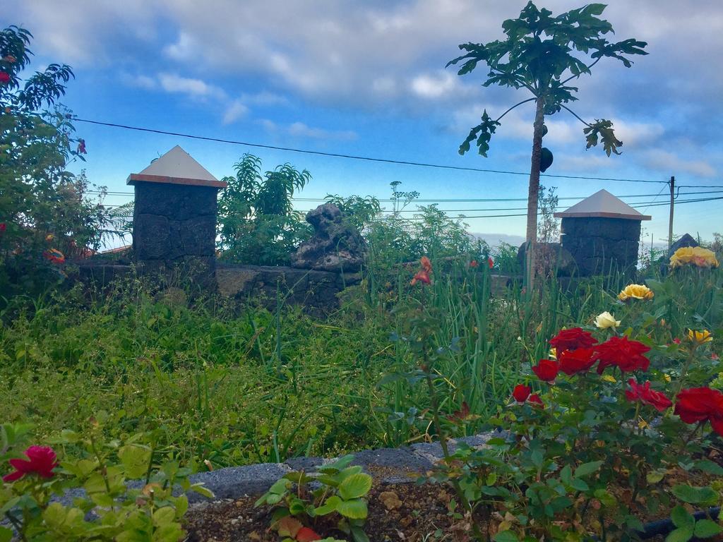 Costa Este House Monte de Brena Екстериор снимка